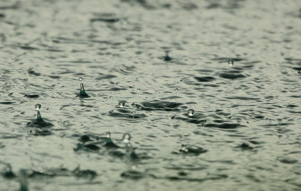 Gaspiller moins d’eau : pensez à récupérer l’eau de pluie !