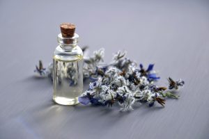 extraction plante huile essentielle