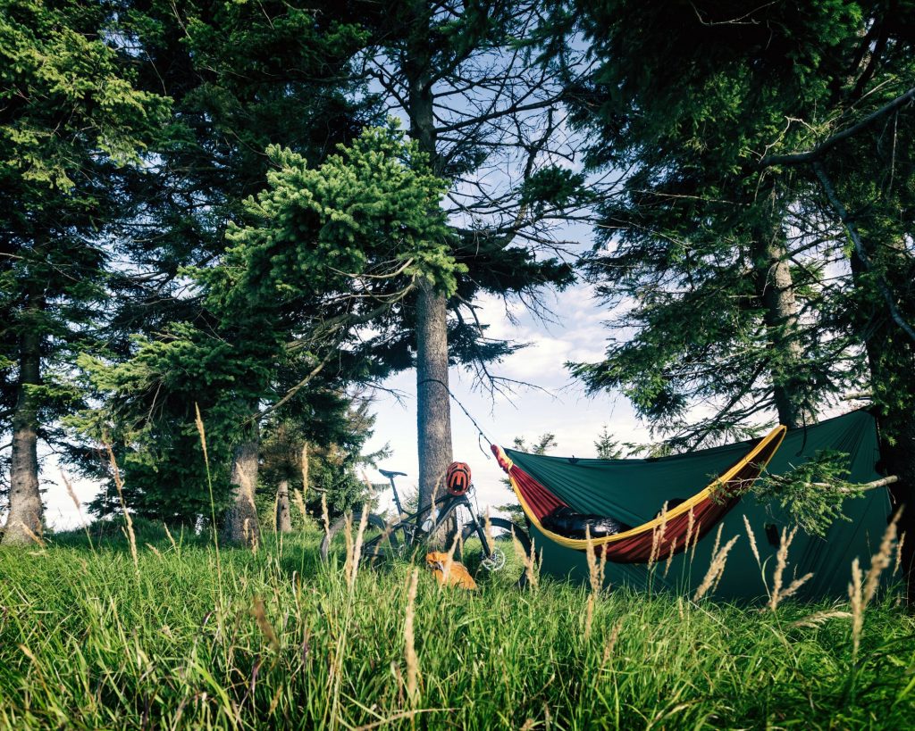 Hammac suspendu entre des arbres