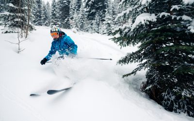 Notre sélection d’activités de montagne en hiver !