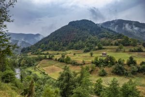Paysage de montagne verdoyant