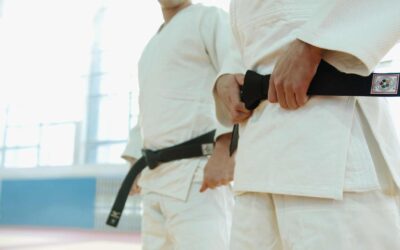 Karaté : principes, règles et valeurs du sport