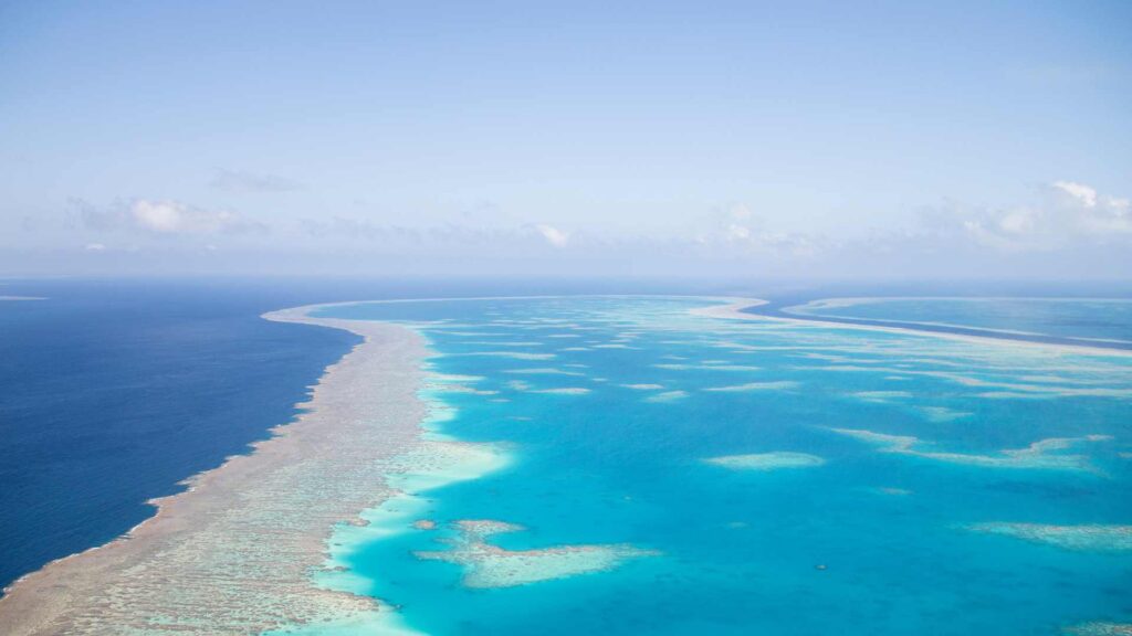 grande barrière de corail