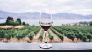 vin