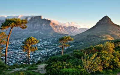 Circuit en Afrique du Sud : safaris, culture et paysages