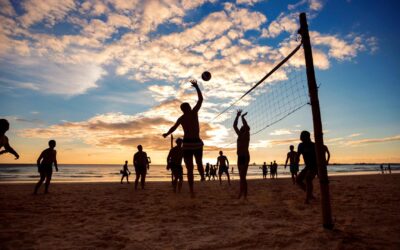 Les principes de base du volley-ball : règles et techniques